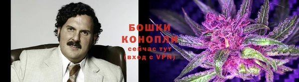 шишки Майский