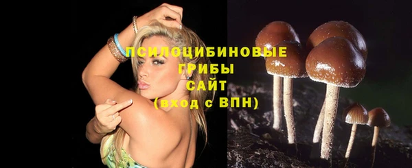 синтетический гашиш Медногорск