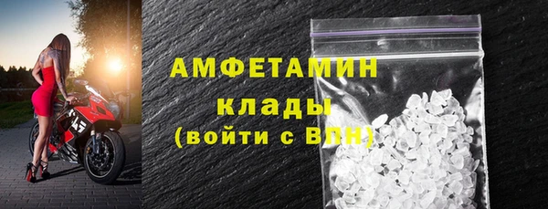 шишки Майский