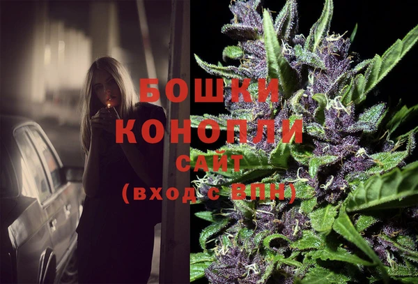 стаф Мегион