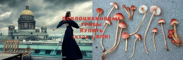 шишки Майский