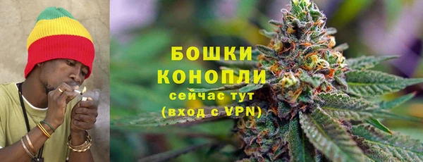 шишки Майский
