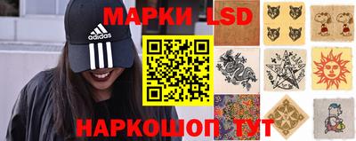 мяу мяу мука Будённовск