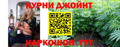 мяу мяу мука Будённовск