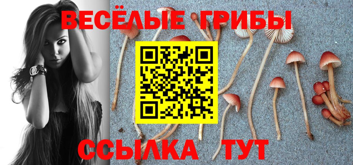 Галлюциногенные грибы прущие грибы Шумерля