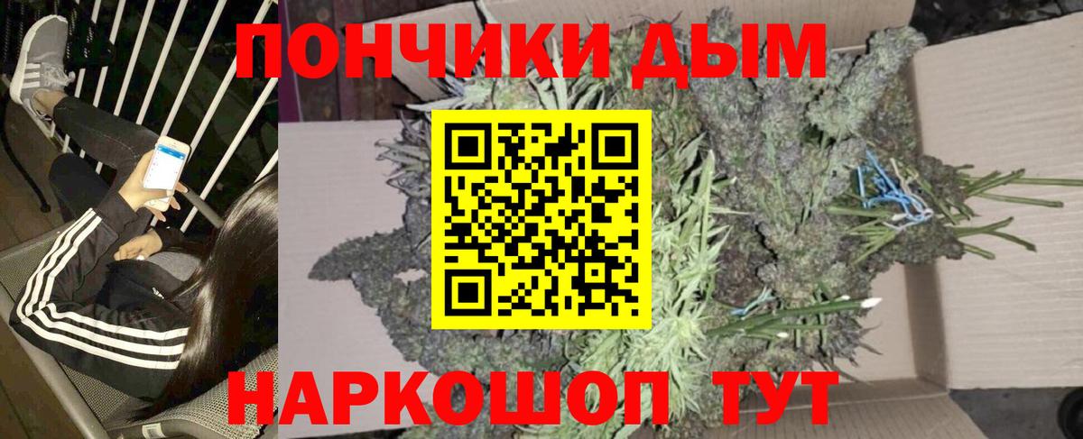 Канабис OG Kush Шумерля